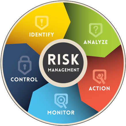 IT Risk Management