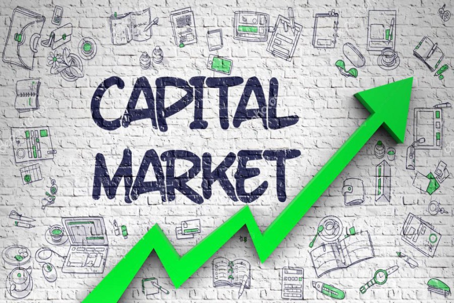 Capital market and portfolio theory