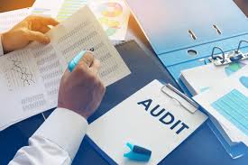 Credit Audit