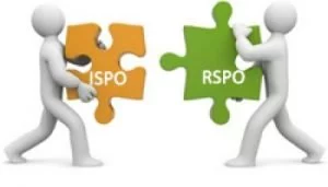 RSPO (Roundtable on Sustainable Palm Oil)