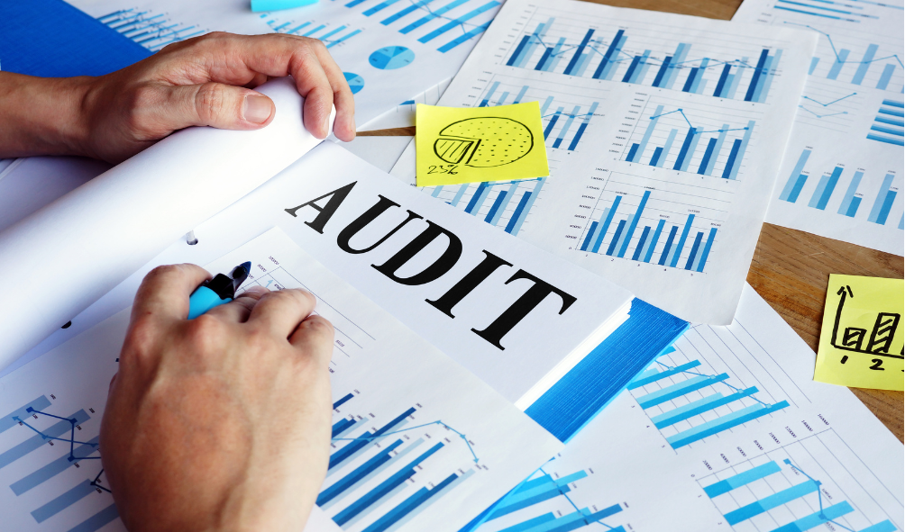 Training Audit Operasional & Kinerja