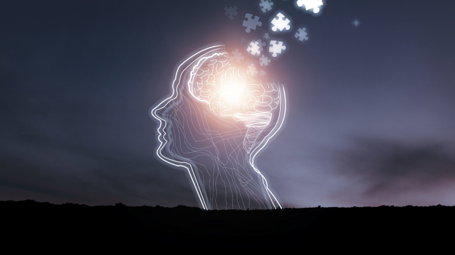Training Lie Detection & Forensic Hypnosis