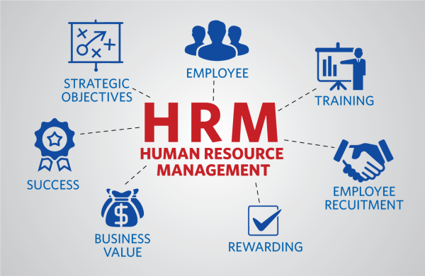 Pelatihan Human Resources Management System  