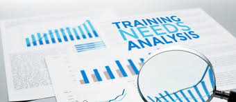 Training Needs Analysis