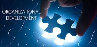 Training Organization Development In Practice