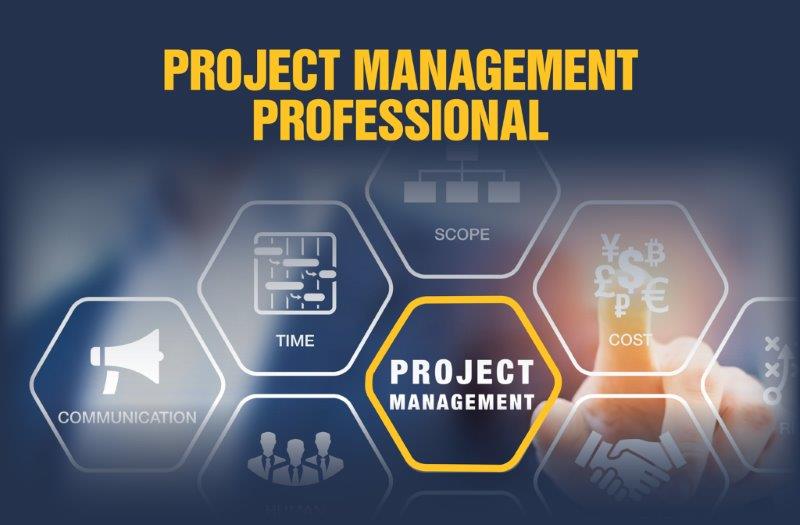 Fundamentals of Project Management Professional