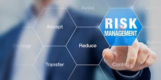 Training Primavera Risk Analysis
