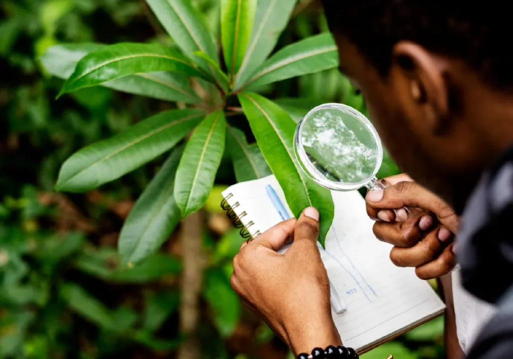 Training Awareness Sistem Manajemen Lingkungan