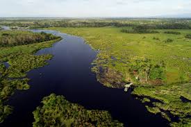 FORESTIX OPERASIONAL: PRODUSEN DATA & KOORDINATOR DATA